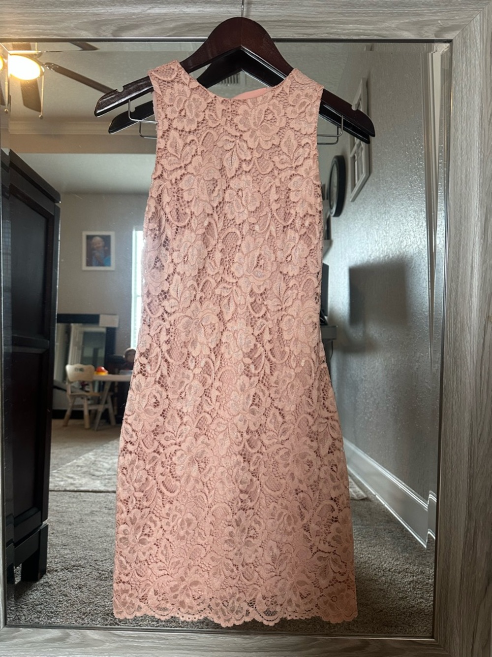 Sam Edelman Blush Pink Lace Sleeveless Shift Dress